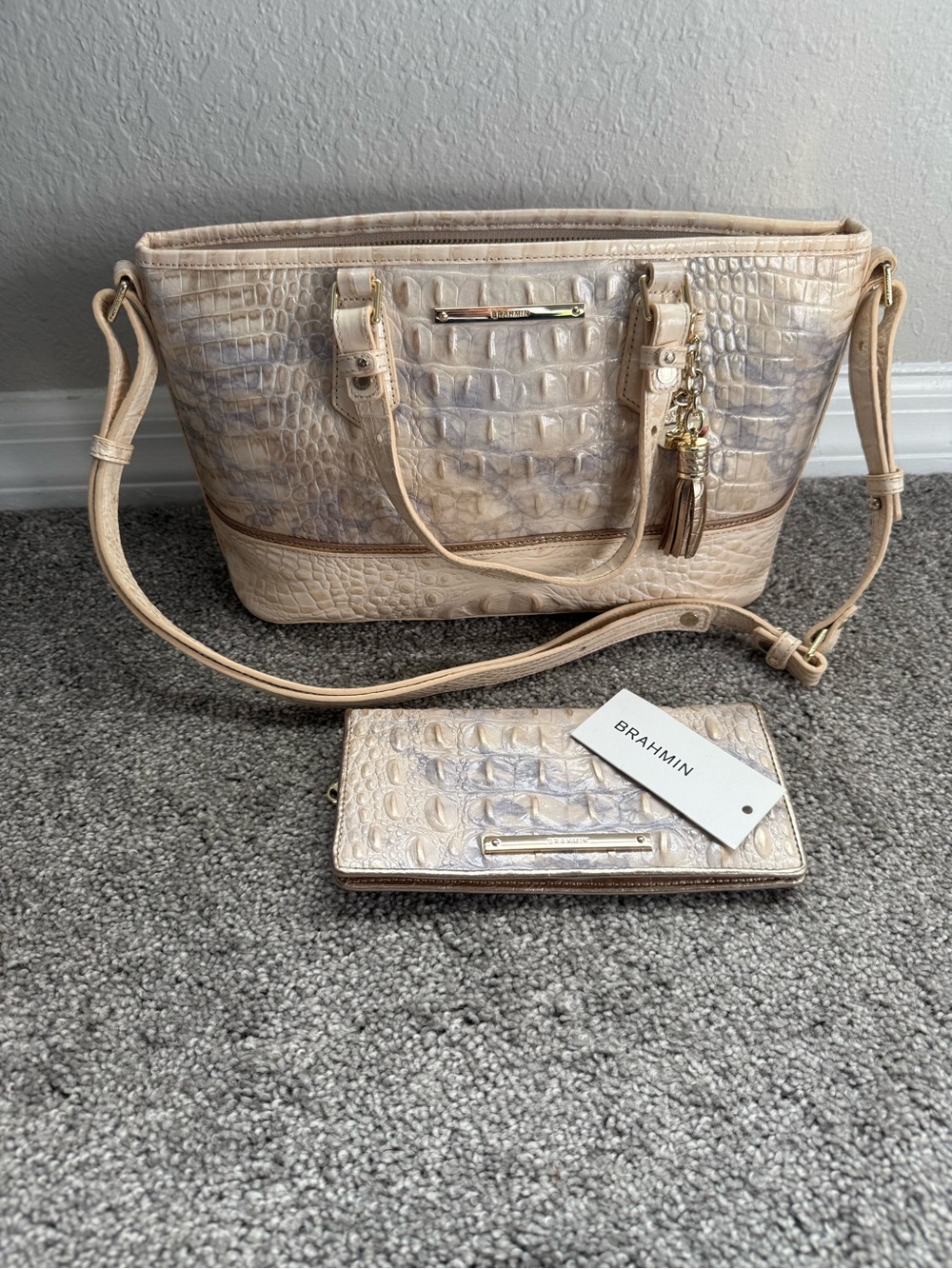 LIKE NEW Brahmin Mini Asher Topaz Alma + Matching Ady Topaz Alma Wallet
